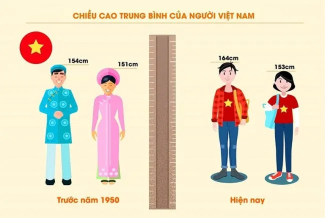 Chiều cao tăng trưởng trung bình mỗi năm