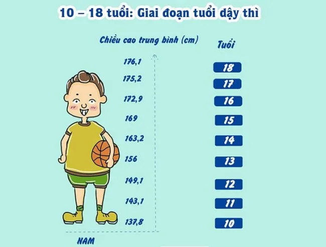 Yếu tố ảnh hưởng đến chiều cao