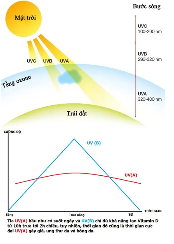 Thời điểm phơi nắng tốt nhất để hấp thụ vitamin d